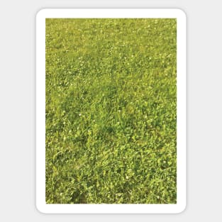 Texture - Green Grass Sticker